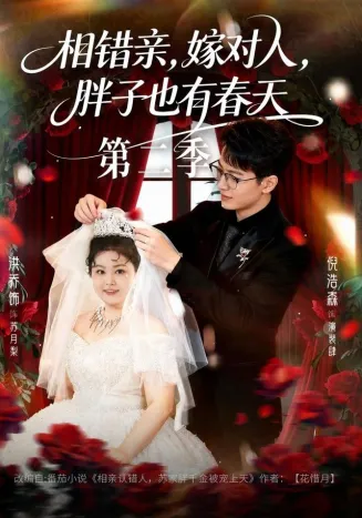 相错亲，嫁对人，胖子也有春天第二季在线观看