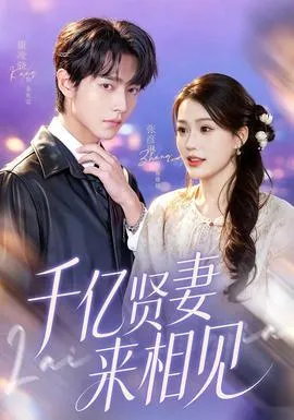 千亿贤妻来相见在线观看