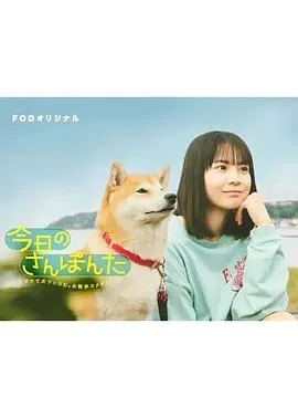 今日份的散步在线观看