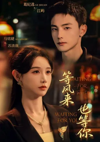等风来,也等你