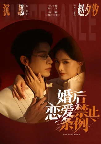 婚后恋爱禁止条例