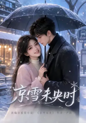 京雪未央时海报