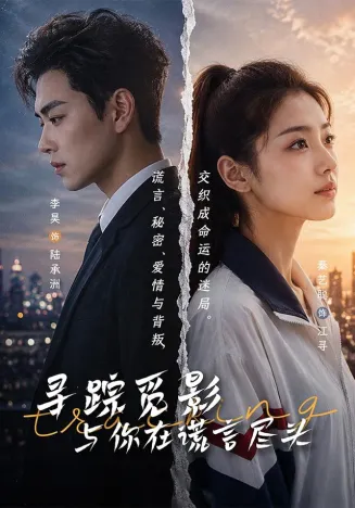 寻踪觅影：与你在谎言尽头