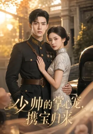 少帅的掌心宠，携宝归来封面