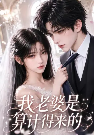 我老婆是算计得来的在线观看