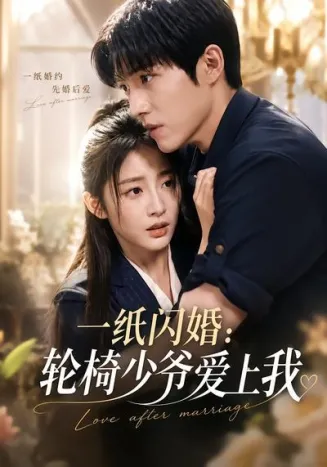 一纸闪婚：轮椅少爷爱上我在线观看