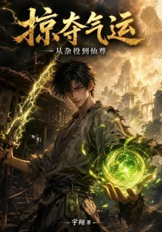 掠夺气运：从杂役到仙尊在线观看