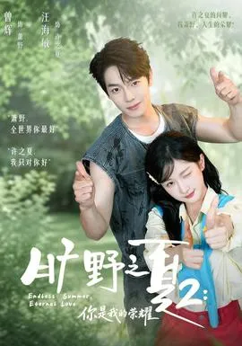 旷野之下2：你是我的荣耀封面
