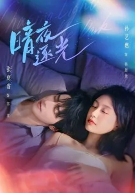 暗夜逐光封面