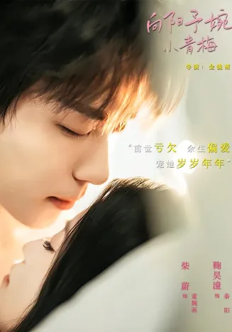 向阳予婉小青梅封面