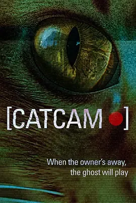猫咪摄像头封面