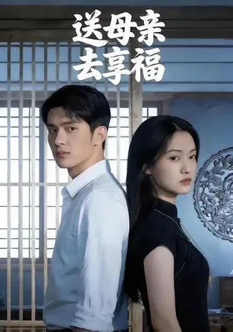 送母亲去享福在线观看