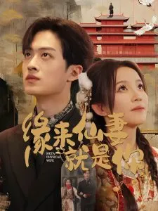 缘来仙妻就是你封面