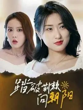 踏破荆棘向朝阳封面