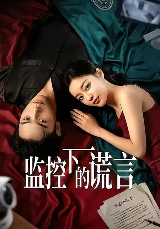 监控下的谎言在线观看