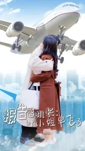 报告慕机长叶小姐单飞了