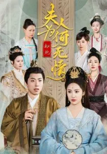 夫人为何如此无情在线观看