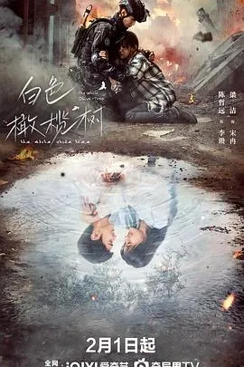 白色橄榄树在线观看