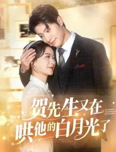 贺先生又在哄他的白月光了在线观看