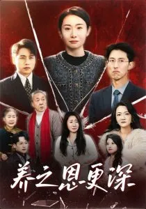 养之恩更深封面