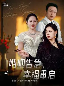 婚姻告急幸福重启在线观看