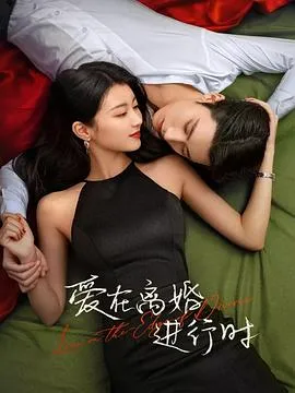 爱在离婚进行时在线观看