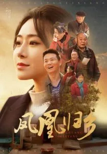 凤凰归乡在线观看