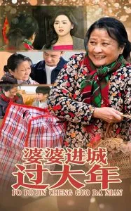 婆婆进城过大年在线观看