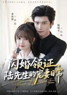 闪婚领证，陆先生的宠妻日常在线观看