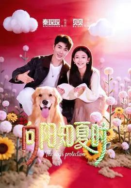 向阳知夏时在线观看