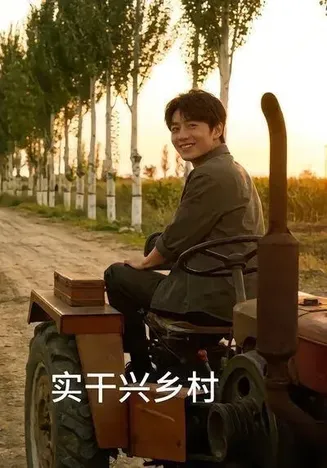 实干兴乡村在线观看