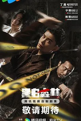 黑白森林2024在线观看