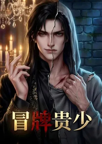 冒牌贵少在线观看