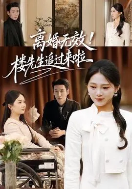 离婚无效！楼先生追过来啦在线观看