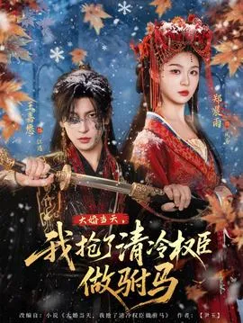 大婚当天，我抢了清冷权臣做驸马在线观看