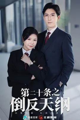 第二十条之倒反天纲