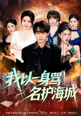 我以一身骂名护海城在线观看