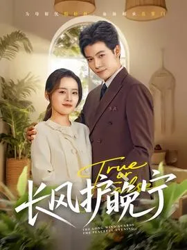 长风护晚宁在线观看