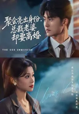 聚会亮出身份,总裁老婆却要离婚在线观看