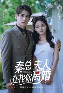 秦总，夫人在找你离婚