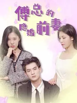 傅总的隐婚前妻