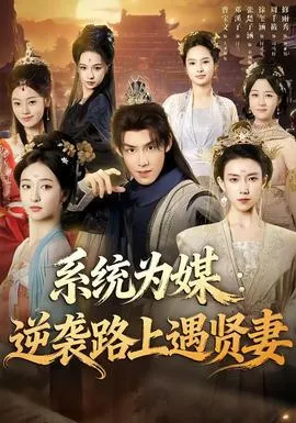 系统为媒逆袭路上遇贤妻在线观看