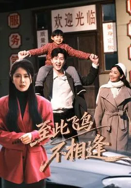 到此飞鸟不相逢在线观看