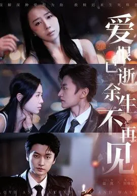 爱恨已逝，余生不再见在线观看