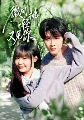 微风轻拂又见你在线观看