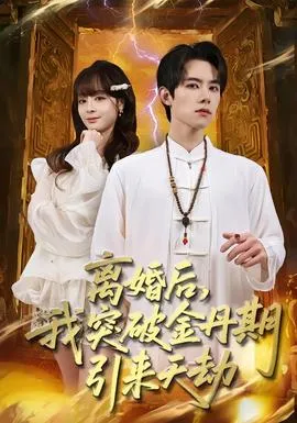 离婚后，我突破金丹期，引来天劫在线观看