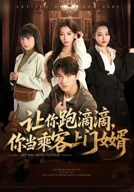 让你跑滴滴，你当乘客上门女婿在线观看