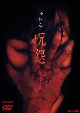 咒怨录像版【影视解说】在线观看