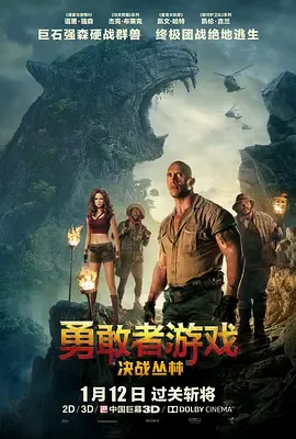 勇敢者游戏【影视解说】在线观看