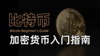 从零开始初识比特币，实战演示比特币挖矿，新手小白也能看懂的比特币网络运行流程在线观看